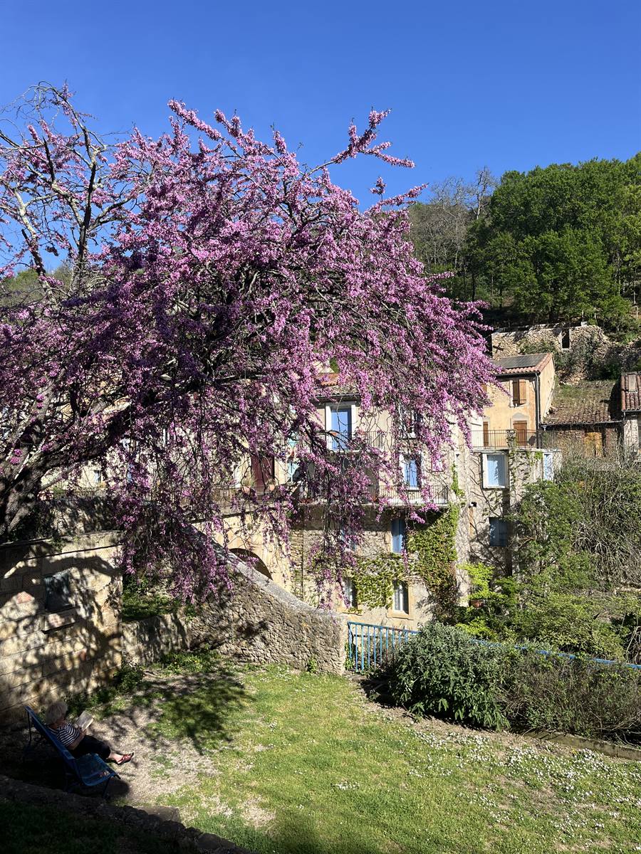 Rennes-les-Bains